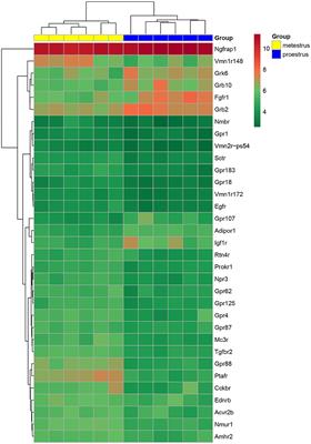 Gonadal Cycle-Dependent Expression of Genes Encoding Peptide-, Growth Factor-, and Orphan G-Protein-Coupled Receptors in Gonadotropin- Releasing Hormone Neurons of Mice